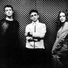The Lightning Seeds
